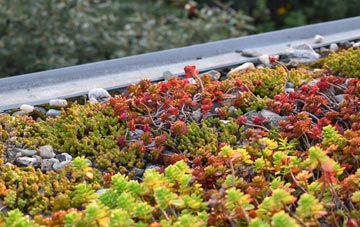 the cost of Ilam green roof installation